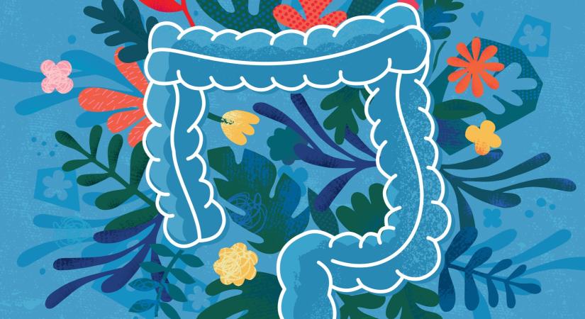 Mikrobiom: etesd kedvenc ételével, és meghálálja