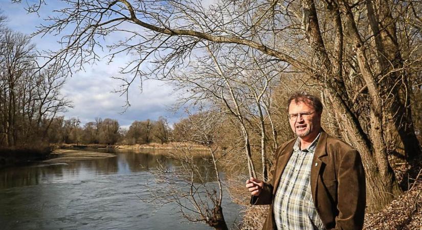 Zalaegerszeg is csatlakozik a Fülemülék Éjszakájához