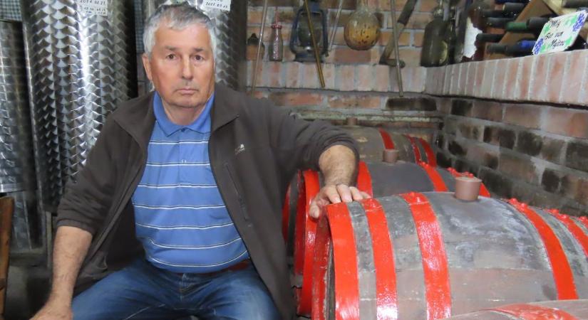 Borverseny után palackozzák Bágyogszovát borát, ajándékba adják a gazdák – videó