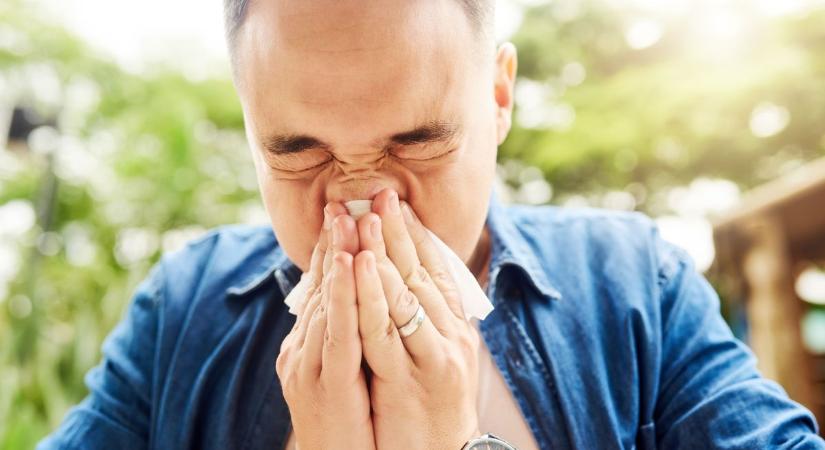 Bajban vannak az allergiások – támadnak a pázsitfűfélék pollenjei!