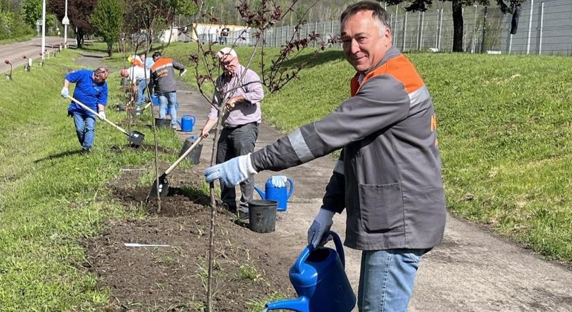 Közel félezer fa ültetésével tesz újabb lépést a környezetvédelemért a Mátrai Erőmű