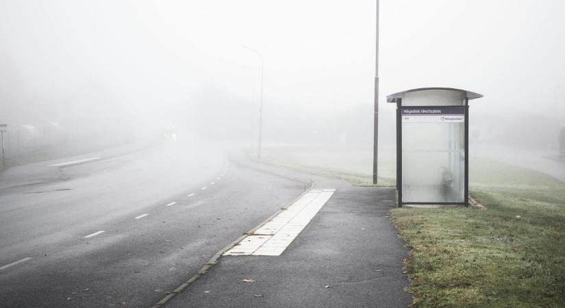 Nyilvánosan szexelt egy pár a szigetszentmiklósi buszmegállóban