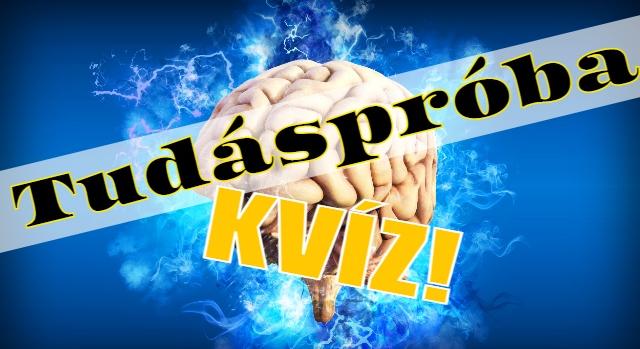 Tudáspróba kvíz: Tudod melyik festő vágta le a saját fülét, vagy milyen szín a sártrőz? Teszteld a tudásod!