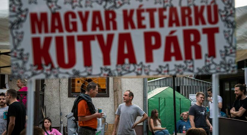 Igazak a pletykák a Kétfarkú Kutya Párt elnökéről, nagyon elszólta magát Kovács Gergely