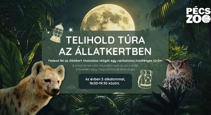 Éjszaka az állatkertben – Telihold-túrán fedezhetjük fel az állatok éjszakai életét