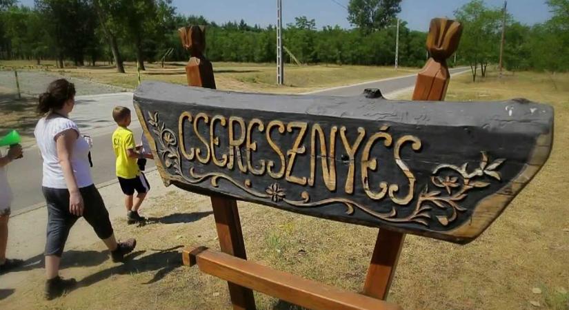 Átmeneti vízhiány lesz Cseresznyésben