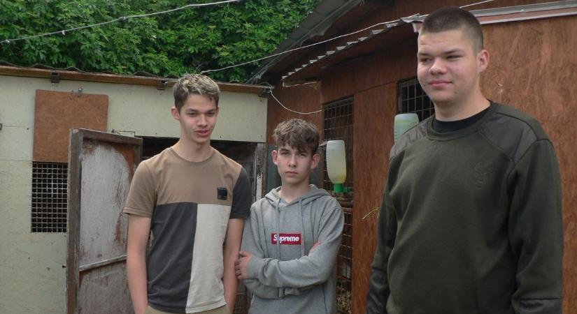 Sínek közé ugrottak az ájult férfiért: videón Bence, Hunor és Gergő, az életmentő kamaszok