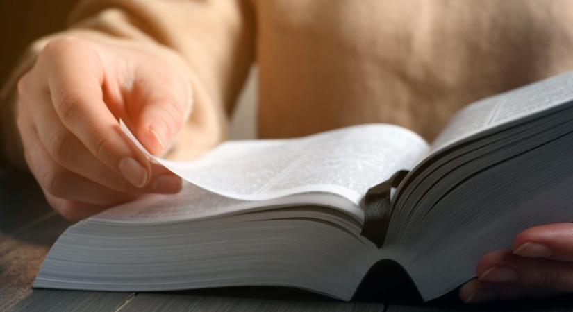 Milyen kihívások előtt állnak a gyermek- és ifjúsági könyvtárak a digitalizáció korában?