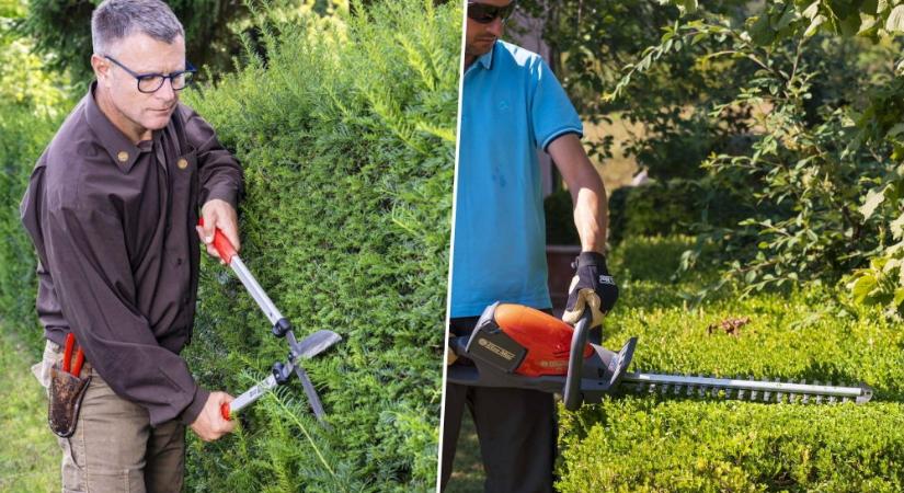 Sövényvágás kézzel vagy géppel: segítünk a sövénynyíró és sövényvágó közötti döntésben