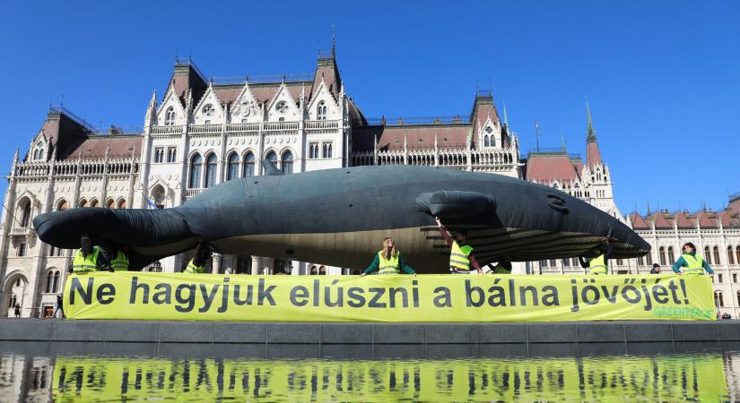 A Greenpeace-t is meglepte, milyen progresszív döntést hozott a magyar parlament