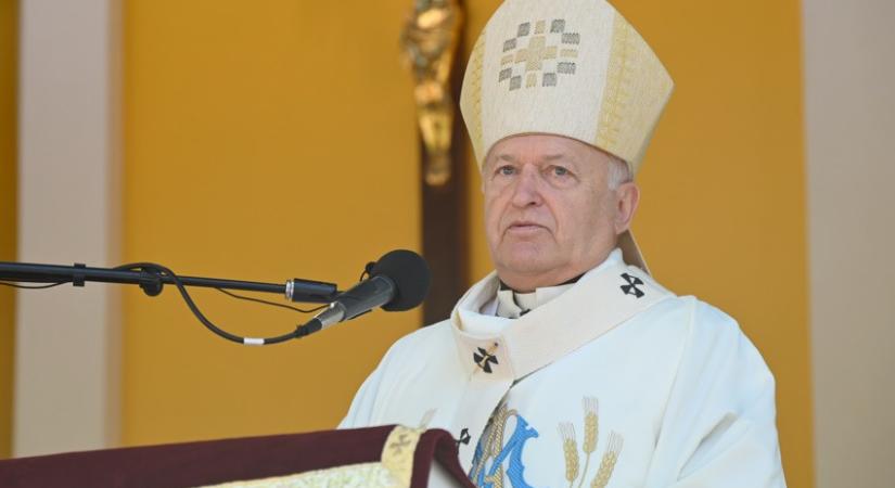 Német László: XIV. Leó továbbviszi Ferenc hagyatékát