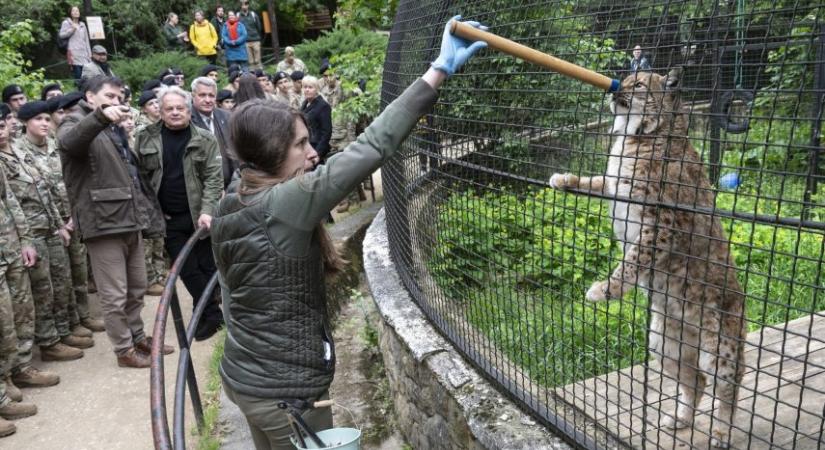 Hiúzokat fogadott örökbe a Honvédelmi Minisztérium