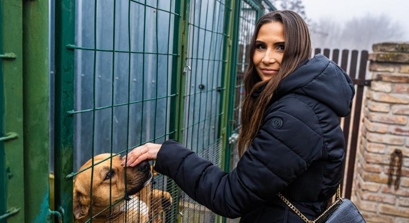 Kecskés Fanni: Sok kicsi sokra megy az állatvédelemben is