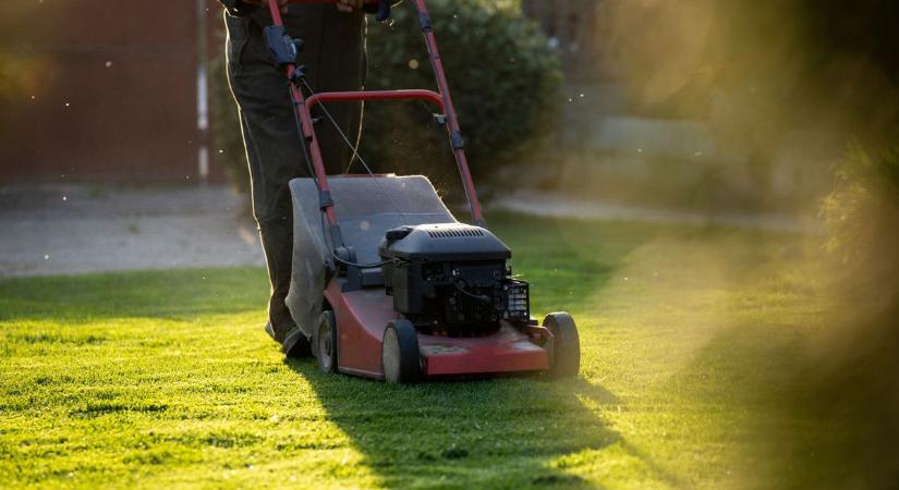 Fűnyírás vállalkozó nélkül: Kecskemét zöldfelületeit idén nehezebb karbantartani