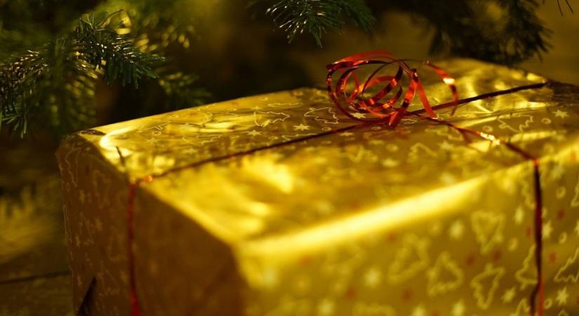 Munkaszüneti nap lehet december 24-e, jöhet a népszavazás!