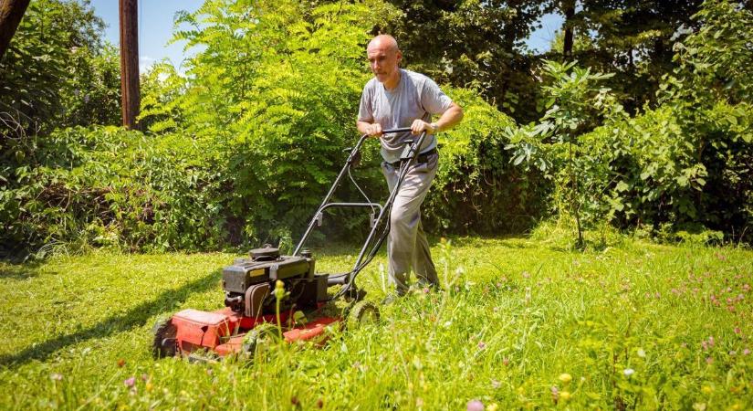Fűnyírás: több százezres bírság is járhat, ha rosszkor állunk neki