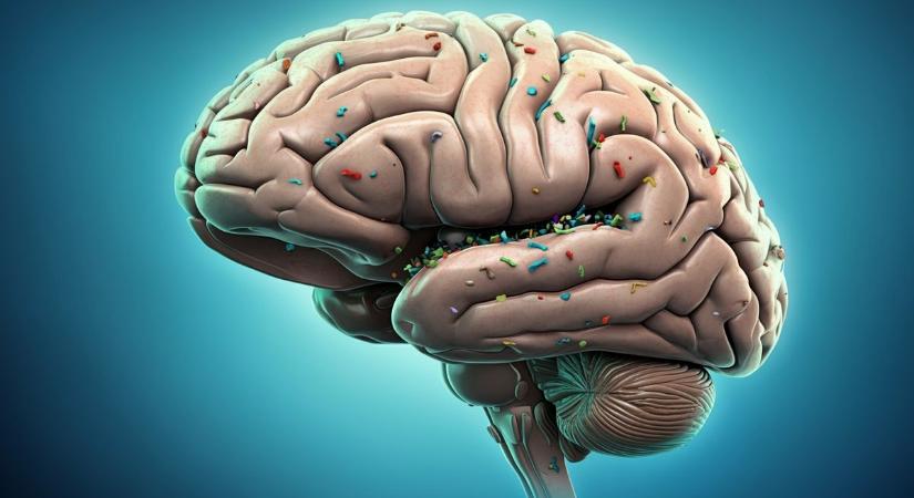 A mikroműanyagok hozzájárulhatnak a stroke, vagy éppen a szívroham kialakulásához