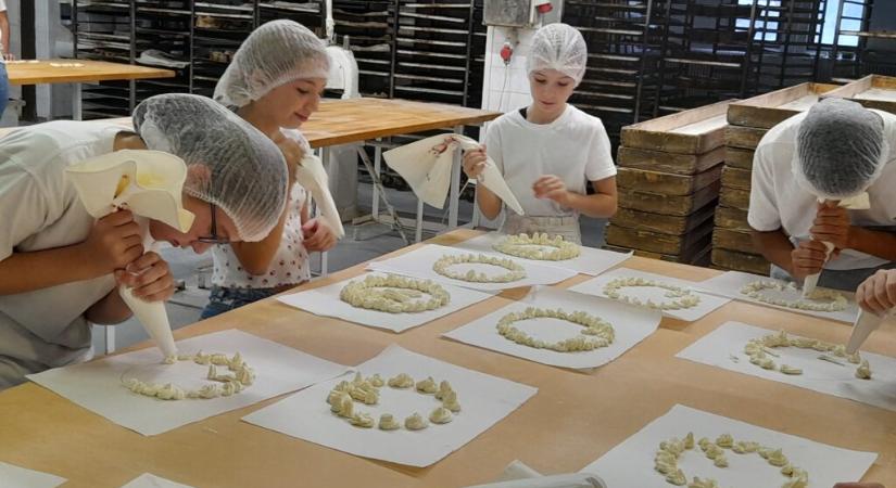 Az agrárszakmák népszerűsítése céljából 2025-ben is szervez „Szakmakóstoló” táborokat pályaválasztóknak a NAK
