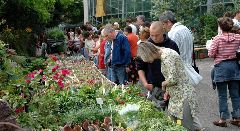 Ismét dísznövényeket vehetünk a PTE botanikus kertjében