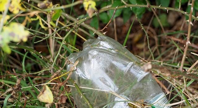 Segíthet a mikroműanyagok kiürítésében a kitozán