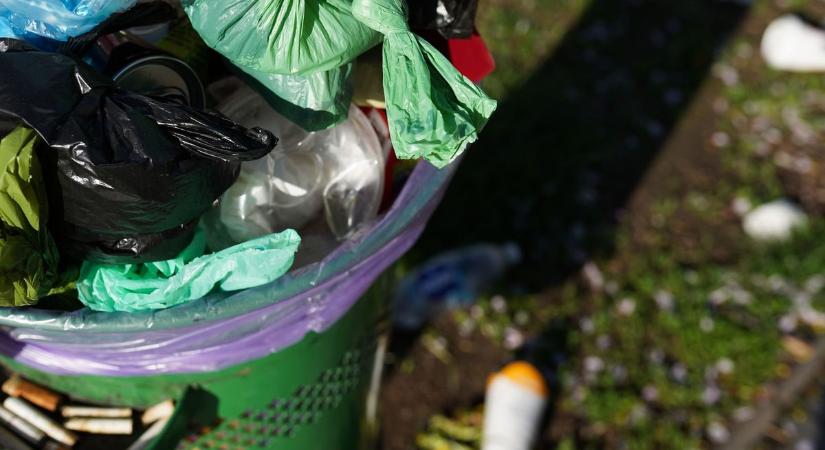 Nem hiszed el, mit dobálnak a köztéri szemetesekbe Keszthelyen - Döglött állat, pelenka, komplett kukazsák...