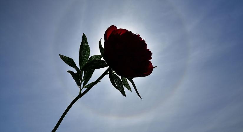 Csodaszép napháló díszítette az égboltot