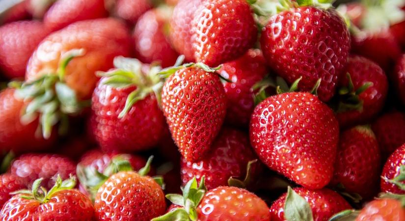 Átmenetileg drágult az import szamóca a nagybani piacokon