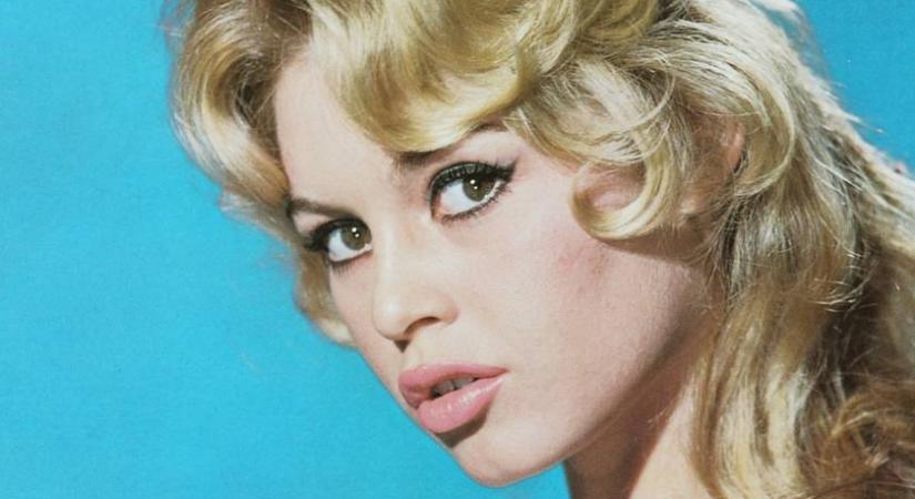Ámulunk a 90 éves Brigitte Bardot friss fotóin: 11 év rejtőzködés elárulta, hogy éli az életét
