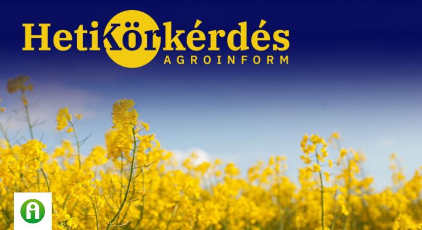Miről árulkodnak a repceállományok? – Heti Körkérdés