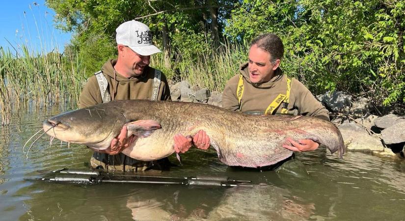 Nem várt óriás akadt horogra a Tisza-tónál! Négyen emelték meg a zsákmányt