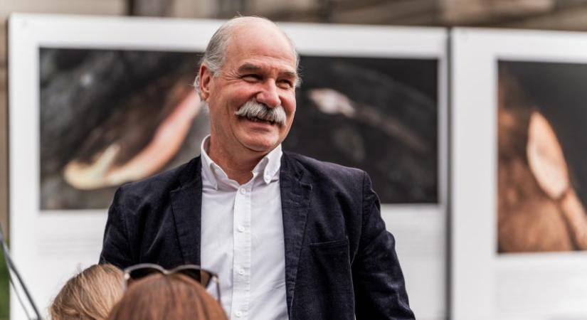 Lendván pincék, Kolozsváron milicisták, Újvidéken gyerekek fenyegették Berecz Andrást