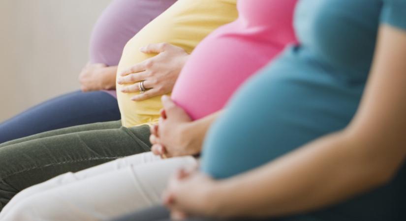 Baby boom: egyszerre terhes egy szülészet 14 ápolónője