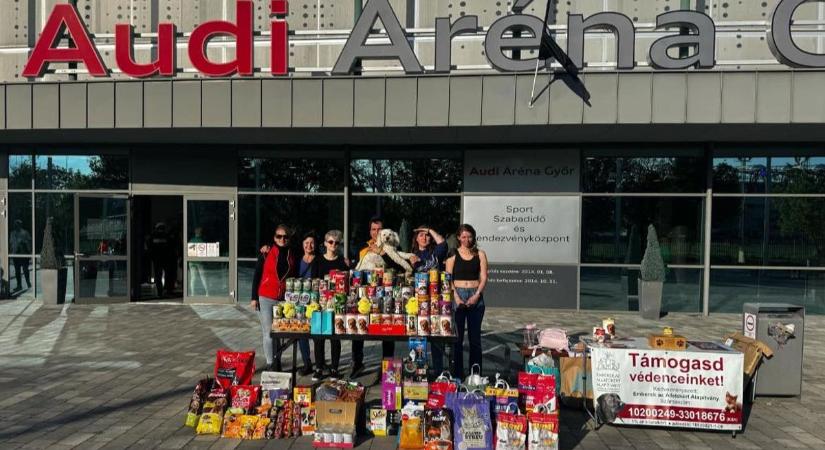 Hálás az Audi ETO KC-nak a Győri Állatmenhely