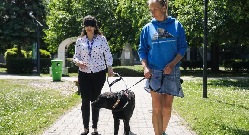 Séta vakvezető kutyával és zokni párosítás - A látássérültek mindennapjait mutatták meg – Fotók