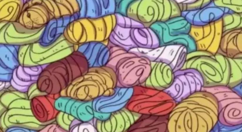 A törölközőket mindenki látja a képen, de tökéletes a látásod, ha a kutyát is észreveszed