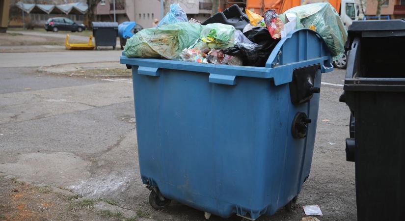 Levágott kecskefejet találtak a belvárosi kukáknál, sokkolta a látvány az állatvédőket