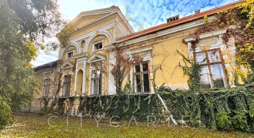 Új gazdát keres Rothermann Rudolf lovag misztikus vasi kastélya - fotók