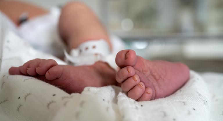 Kósa Lajos elvenné az utónévjegyzéket a Nyelvtudományi Kutatóközponttól