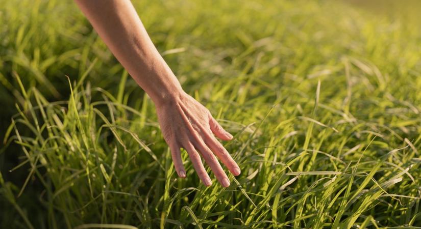 Furcsa zajokra lettek figyelmesek a szolnoki bozótosnál