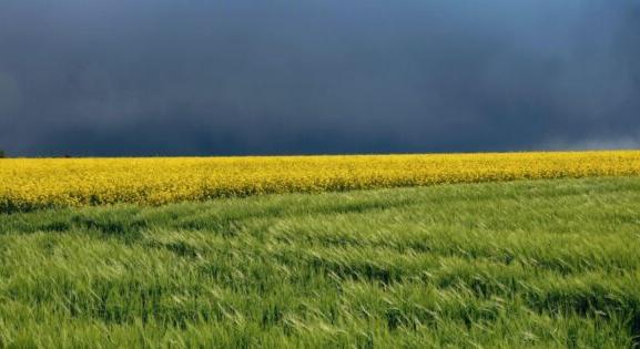 Gyorsan derékba töri a melegedést az erős hidegfront