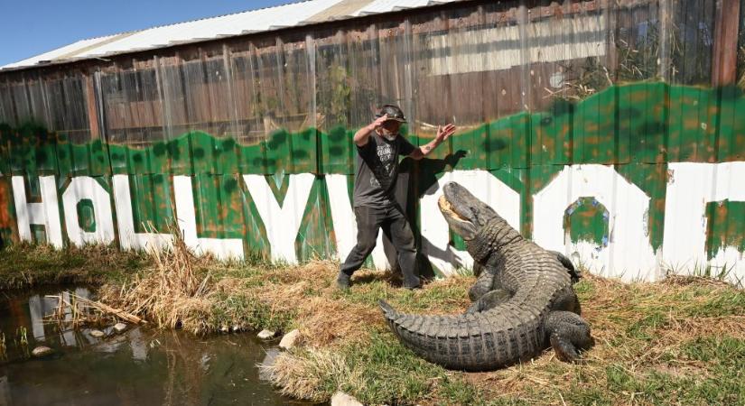 Meghalt Morris, az Interjú a vámpírral és a második Dr. Dolittle-film aligátora