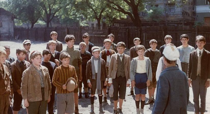 Nemecsek Pécsett járt: az egész város bedőlt a nagy irodalmi szélhámosnak!