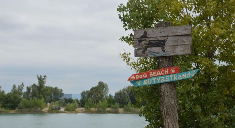 21 úti cél kutyás csobbanáshoz: itt a friss kutyabarát strand lista!