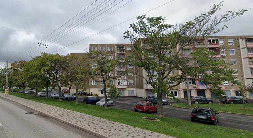 Elkezdődik a Köztársaság úti fasor felújítása