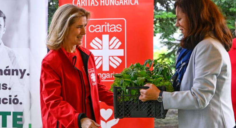Herczegh Anita rászorulóknak felajánlott adományokat vett át a Karitász nevében