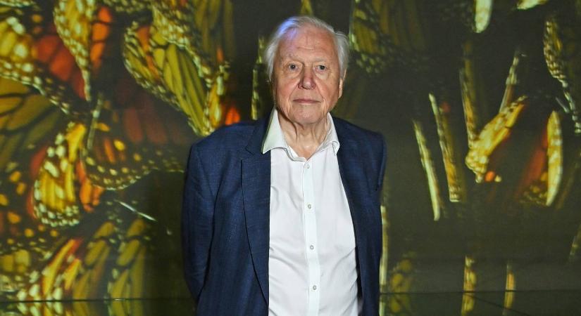 Ez a hosszú élet titka a 99 éves David Attenborough szerint