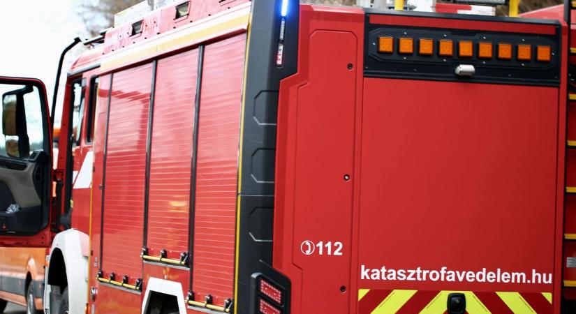 Fa dőlt az útra Sormásnál, egy civil segített a zalai tűzoltóknak