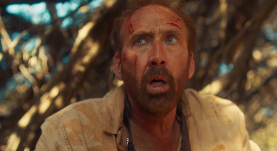 Egyél patkányt! – A szörfösben Nicolas Cage újfent becsavarodik