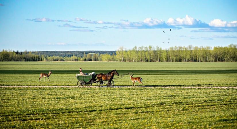 Jó hírt kaptak a kirándulók