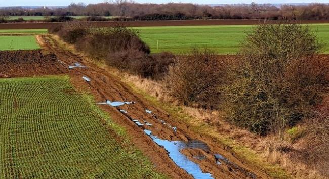 A hűvös idő lassítja a növények fejlődését